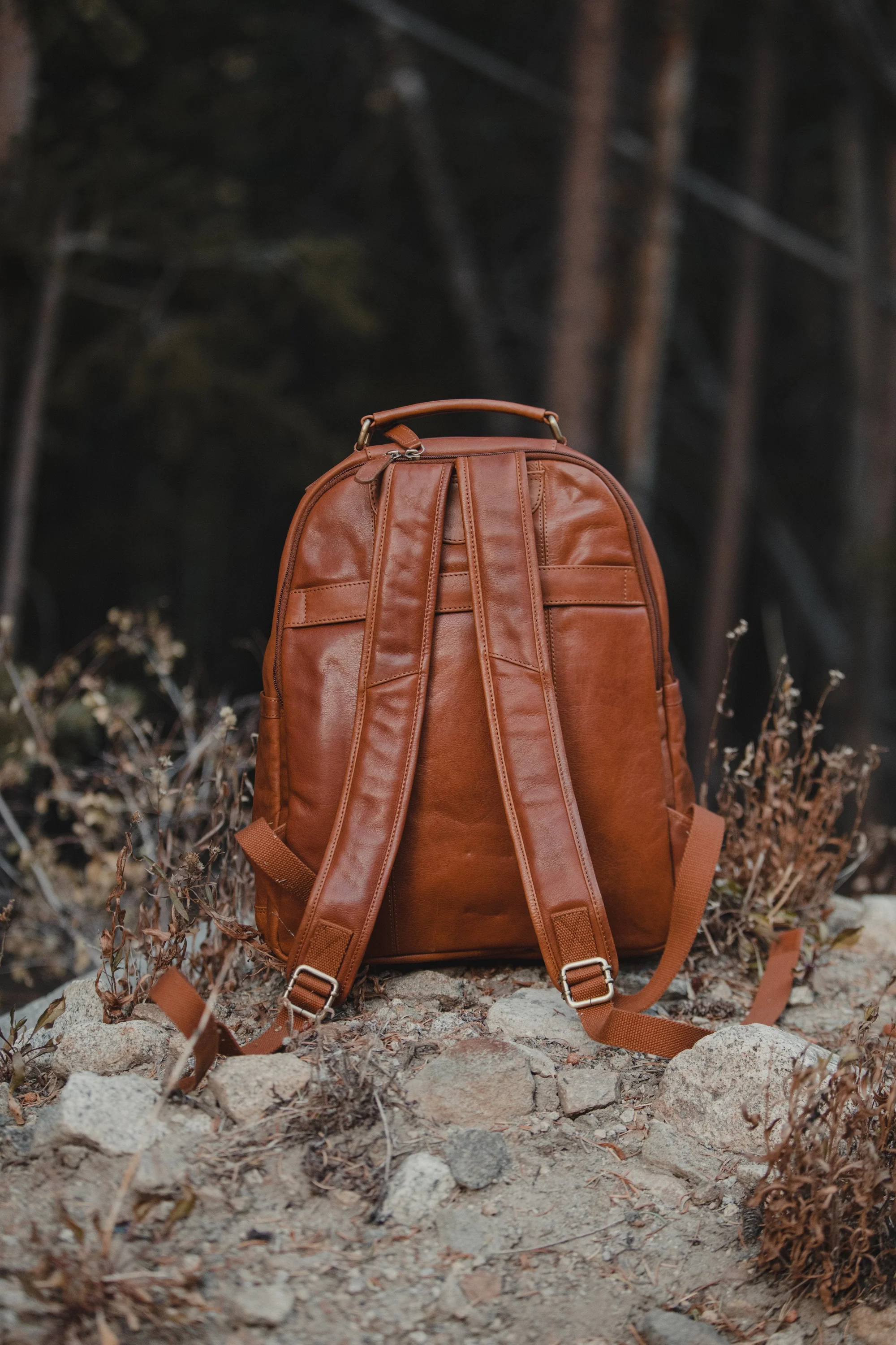 Katmai Leather Backpack - Image 4