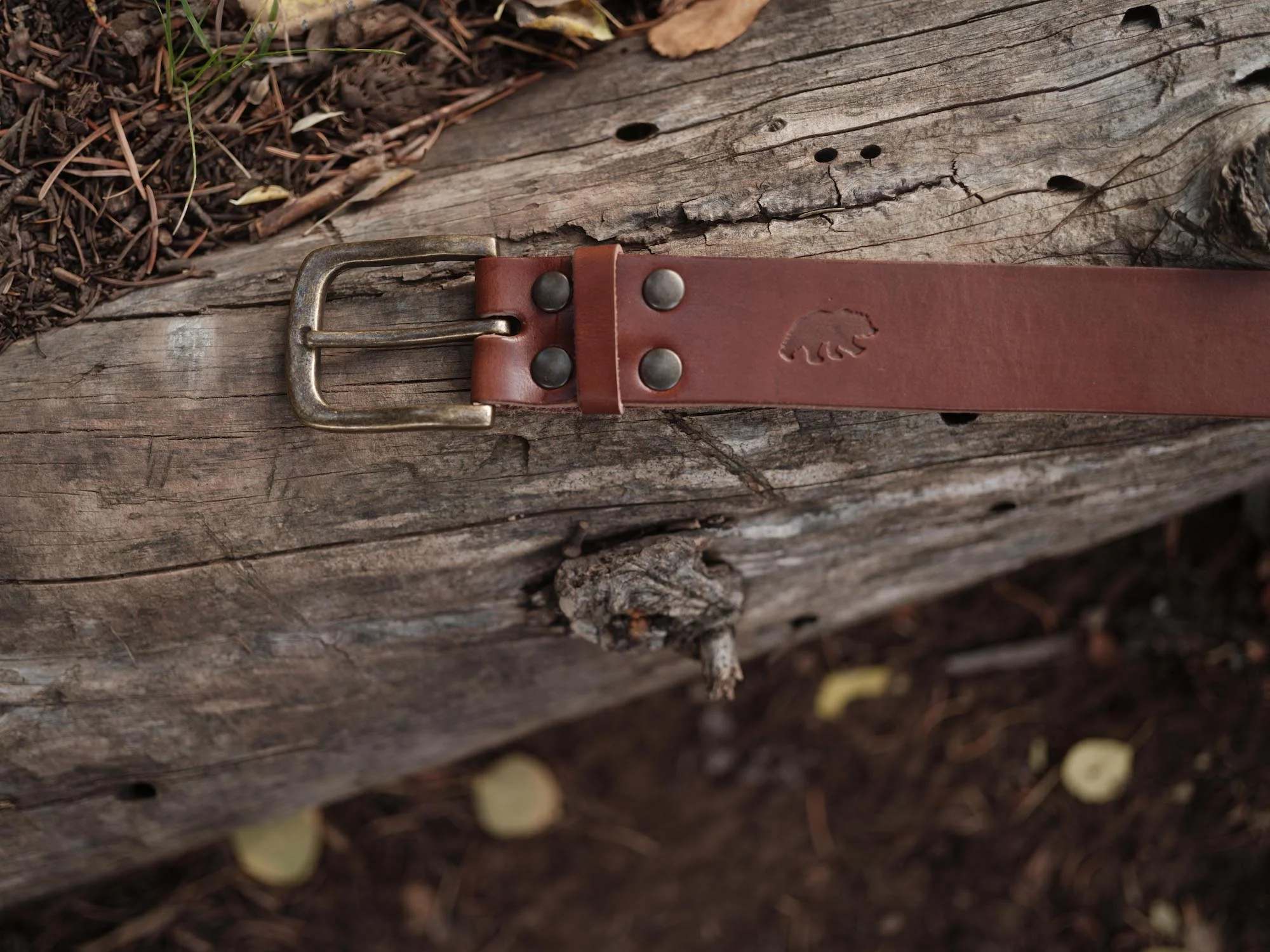 Kodiak Leather Belt - Image 5